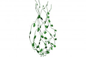 藤蔓植物3d模型库免费下载网