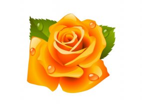玫瑰花月季花矢量图免费下载