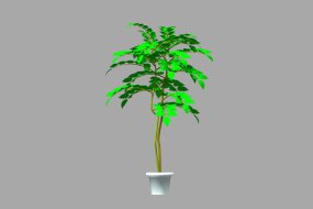 装饰树植物3d模型库免费下载网