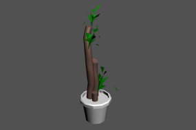 3d模型下载巴西木植物花草