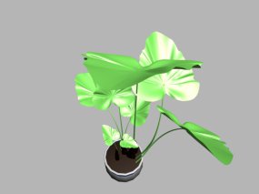 海芋3d模型下载网大叶子植