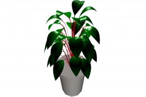 豆瓣绿植物3d模型免费下载
